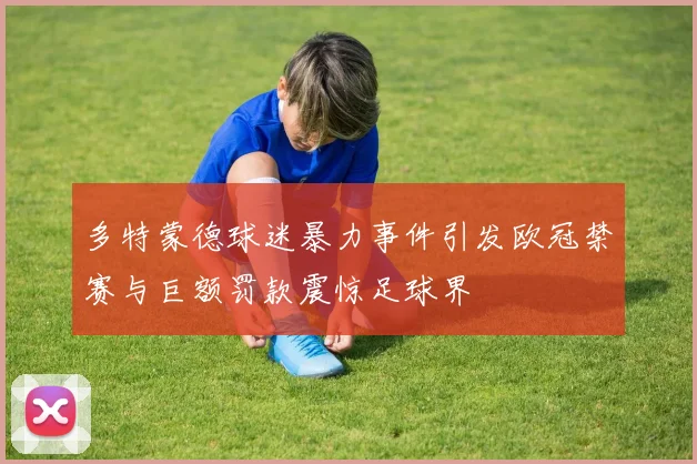多特蒙德球迷暴力事件引发欧冠禁赛与巨额罚款震惊足球界